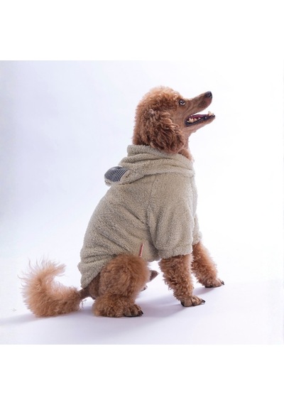 Açık Bej Lucca Teddy Hoodie Ayı Kulaklı Peluş Köpek Kıyafeti Kedi Kıyafeti Köpek Sweati