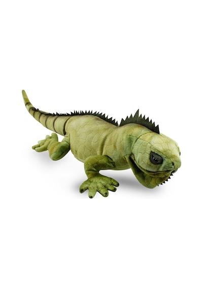 Animals Of The World İguana 66 cm