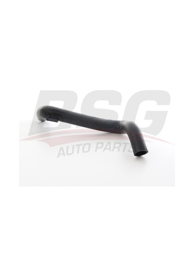 Bsg Radyator Hortumu Alt - R9/r19 85-