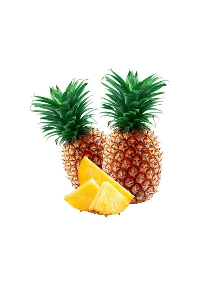 Saksıda Ananas Meyvesi Fidanı Queen Cinsi