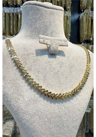 14 K Vip Başak 45 Cm Kolye Altın