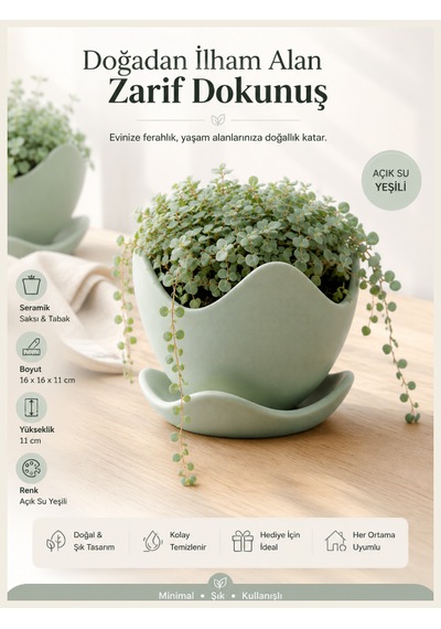 Dekoratif Kaseli Saksı-bitki,çiçek,sukulent Ve Kaktüs Saksısı-modern Tarz Saksı Yeşil