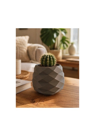 Geometrik Mini Kaktüs Saksısı Dekoratif Masa Üstü Saksı 3d Baskı