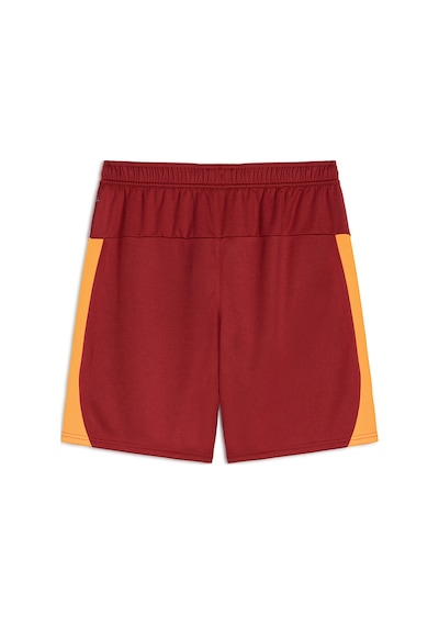 Galatasaray Puma 2025/2026 İç Saha Parçalı Şort 77982301 Sarı - Kırmızı