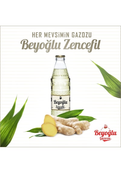 Beyoğlu Gazozu Zencefilli 250 Ml X 24 Adet
