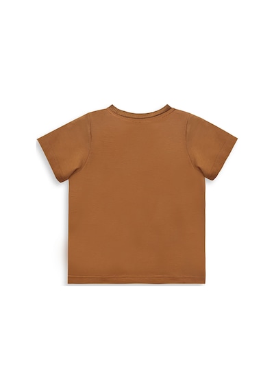 Denokids Dinozor Erkek Bebek T-shirt Kaşkorse Şort Takım Çok Renkli
