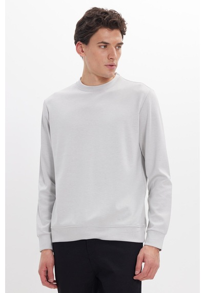 Tudors Erkek Standart Fit Normal Kesim Uzun Kollu Ekstra Soft Modal Kumaş Bisiklet Yaka Taş Sweatshirt-50210
