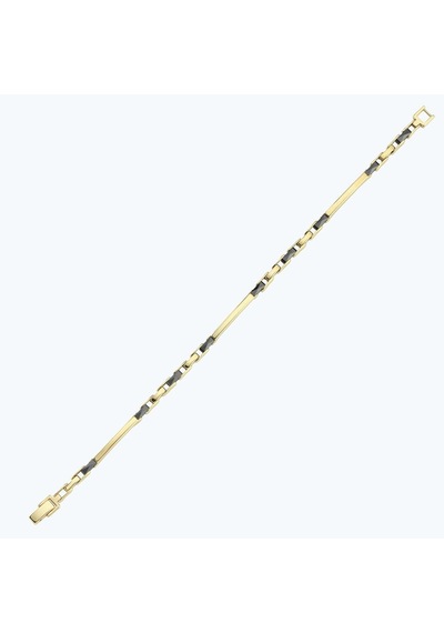 Altınbaş Altın Erkek Zincir Bileklik Abl0194-y-24708 Çok Renkli