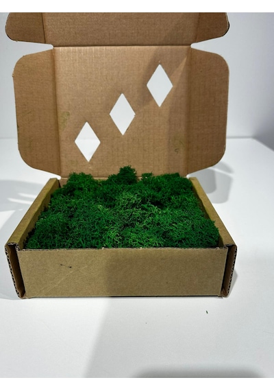 Reindermoss Şoklanmış Norveç Yosunu Terarium Yosunu Grass Green 100 Gr.