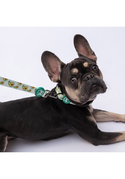 Avocado Avokado Desenli Köpek Boyun Tasması Ayarlanabilir Köpek Tasması Yeşil