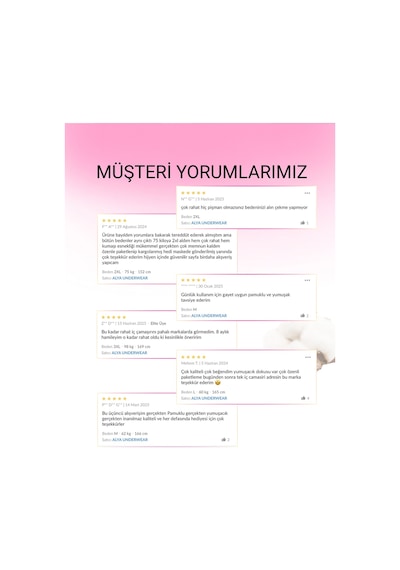 Alya Underwear Kadın Pamuklu Hipster - Slip Külot 5 Farklı Renk 1 Pakette Çor Renkli
