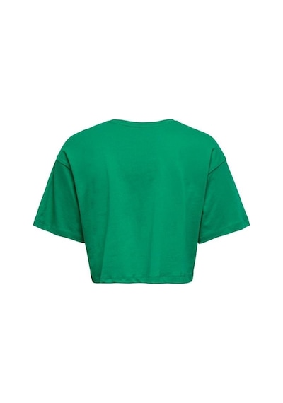 Only Kadın Renkli Crop T-shirt - 15260935 001