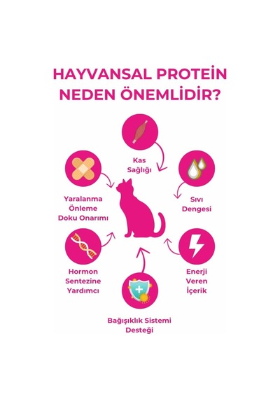 Sterilised Kuru Kedi Maması, Somonlu Ve Pirinçli, Kısırlaştırılmış Kediler İçin, Yetişkin, 10kg