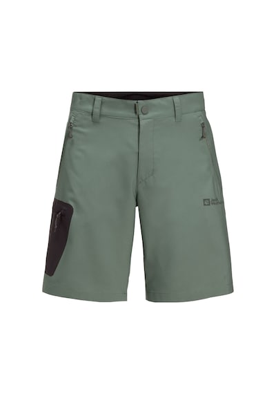 Jack Wolfskin Jack Wolfskın Actıve Track Shorts M 4311 Haki