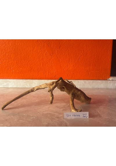Yati Kökü No:403a 37x19x10h
