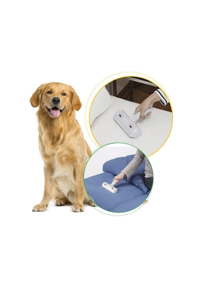 Buffer Kulak Modelli Hazneli Kedi Köpek Halı Kıl Tüy Toplayıcı