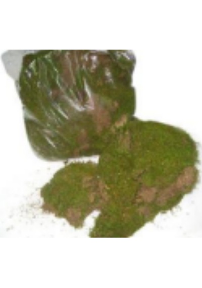 Kuru Bitki Yosun Pk 1 Kg. Çok Renkli