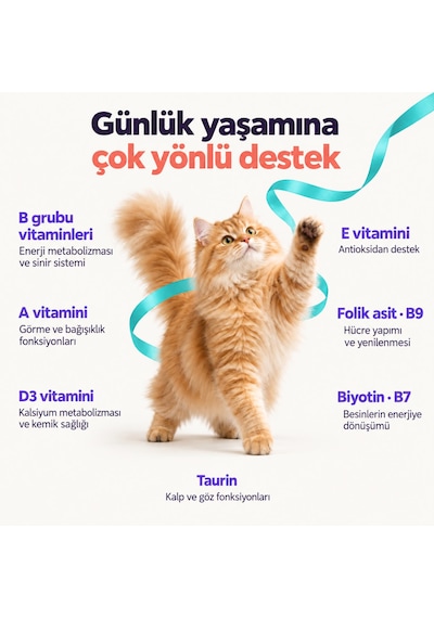 Daily Vitamix - Kedi Multi Vitamin Takviyesi, Bağışıklık Desteği, 21 Vitamin Ve Mineral, Günlük Kullanım, Toz Form, 150 Gram