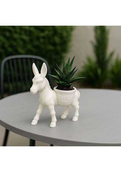 Donkey Sukulent & Kaktüs Dekoratif Saksı