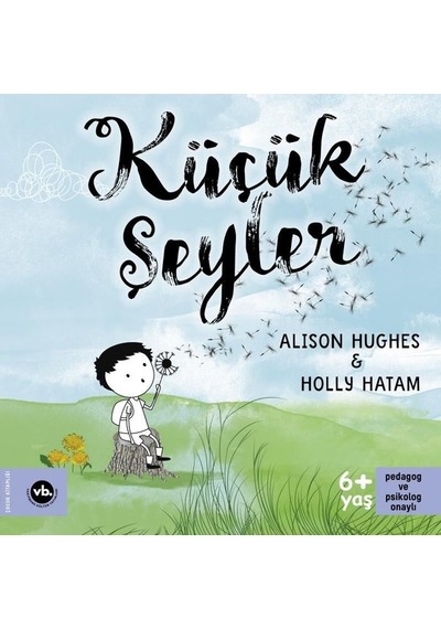 Küçük Şeyler - Alison Hughes - VakıfBank Kültür Yayınları