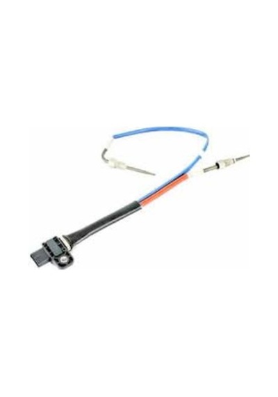 Oe-Turbo Sıcaklık Kaptörü Talısman-megane Iv Oe 226405020r
