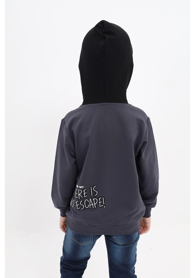 Toontoy Kids Toontoy Erkek Çocuk Relax Fit Kapüşonlu Cepli Renk Bloklu Baskılı Sweatshirt - 2 İplik Füme