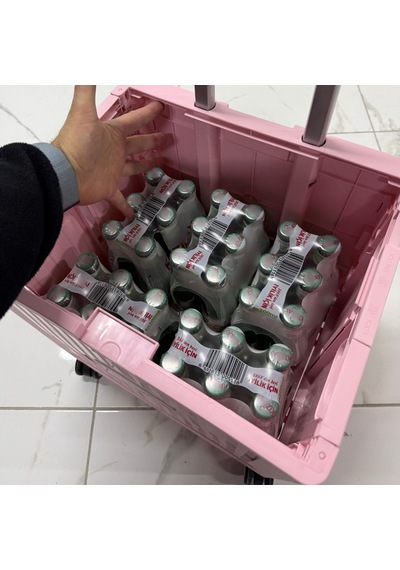 4 Tekerlekli, Pembe, 32l Standart Boy, Sabit Tutacaklı Alışveriş Arabası