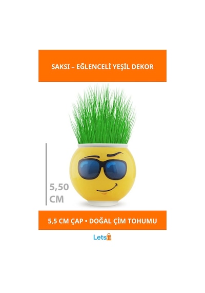 Eğlenceli Emoji Figürlü Çim Adam Saksı 5,5 Cm 1 Adet