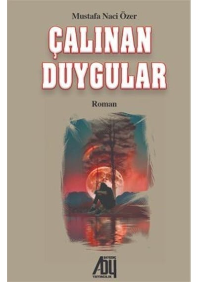 Çalınan Duygular / Mustafa Naci Özer