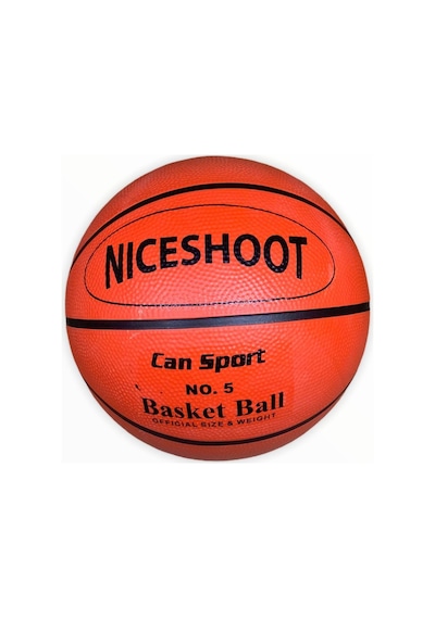5 Numara Basketbol Topu, Top Iğnesi Hediyesiyle