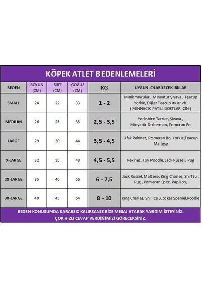 Navy Sports Atlet Köpek Kıyafeti Köpek Elbisesi