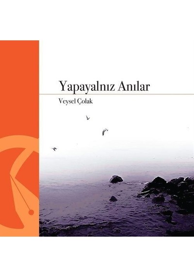 Yapayalnız Anılar / Veysel Çolak