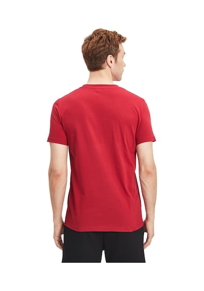 Galatasaray Lisanslı Aslan Baskılı T-shirt Kişiye Özel Metin Oktay Baskılı Ahşap Kutulu 105 Kırmızı