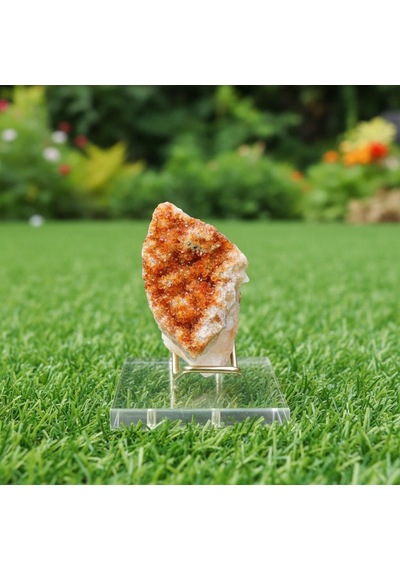 Sitrin Taşı Ham Parça Plexi Stand Dahil