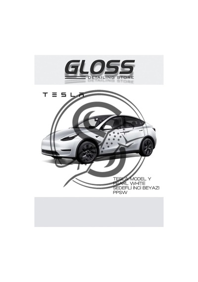 Tesla Model Y White Pearl Sedefli Beyaz Profesyonel Rötuş Boyası Çift Şişe 30/30ml, Tmy-ppsw2