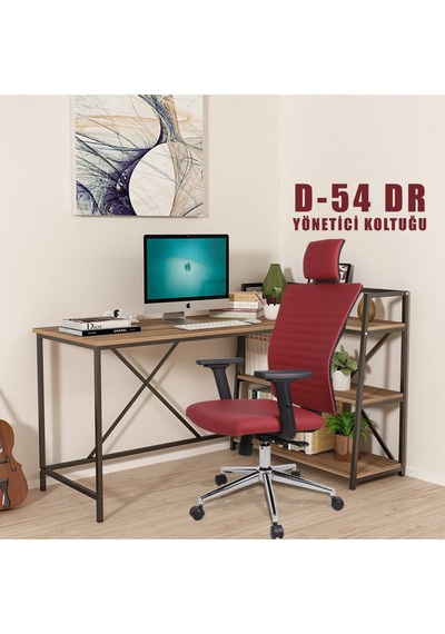 D-54 Dr Yönetici Koltuğu Bordo