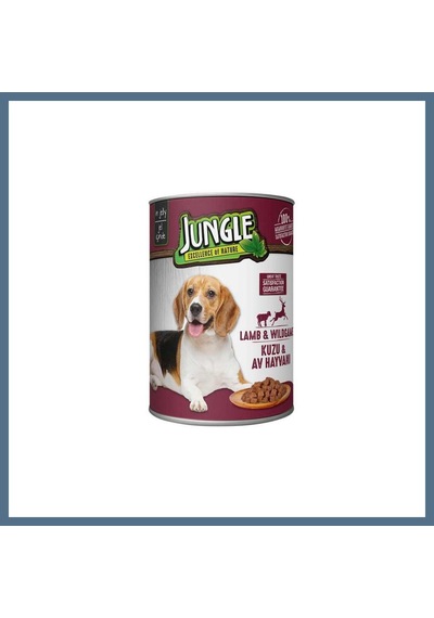 Buradabulabilirsin Köpek Konserve Kuzulu 400gr 1 Adet Bbz