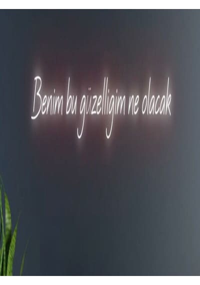 Benim Bu Güzelliğim Ne Olacak Yazılı Neon Tabela Kırmızı