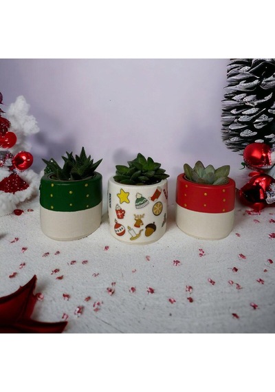 Yılbaşı Hediyesi/ Çoklu Yılbaşı Desen Baskılı 3lü Saksı Seti
