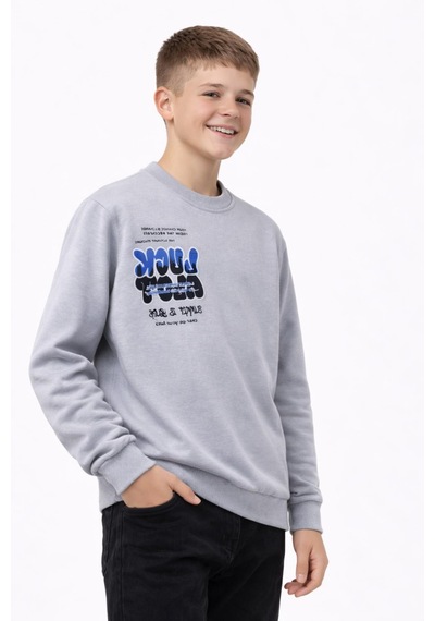 Baglan Erkek Çocuk Önü Arkası Baskılı Sweatshirt Bgl-st05237 Gri