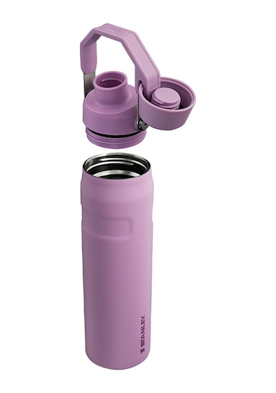 Iceflow Fast Flow Soğuk Su Termosu 0.6l Lila