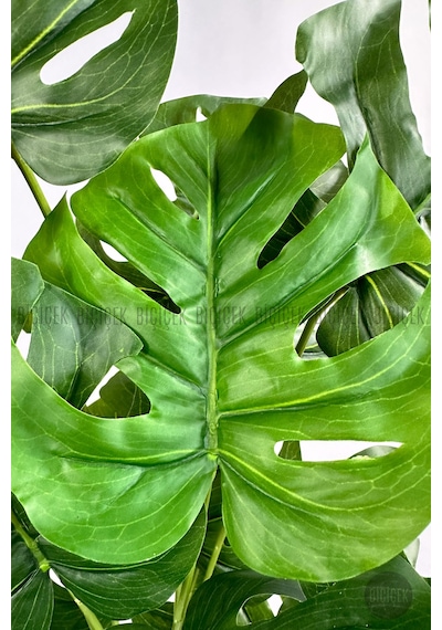 Biçiçek Yapay Monstera Deve Tabani 60 Cm Si̇yah Yakut Saksıda