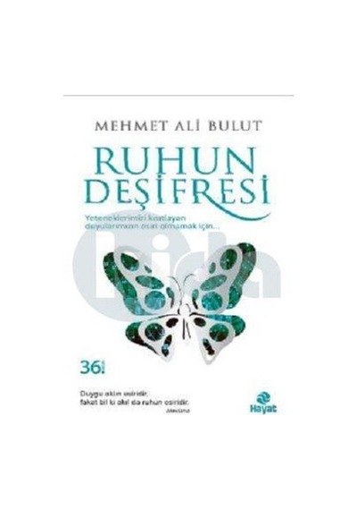 Ruhun Deşifresi Mehmet Ali Bulut