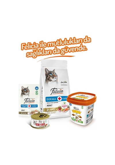 Felicia Crunch Vitality Kedi Ödülü 100 Gr 6'lı