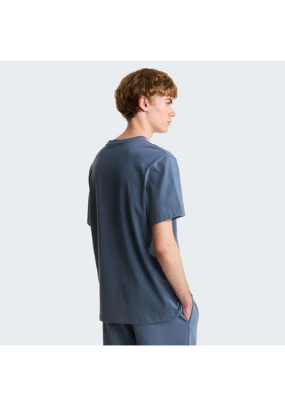 The North Face M Essential Center Logo Relaxed Short Sleeve Erkek T-shirt-33081 Gri
