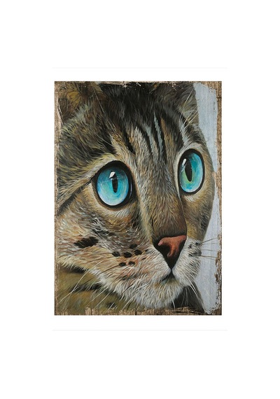 Bedeko Mavi Gözlü Kedi Art Mdf Tablo 35 Cm X 50 Cm