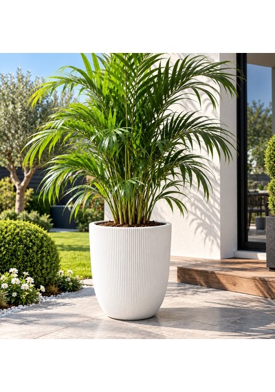 So-palm3 Palmiye Dekoratif Plastik Saksı İç Kovalı 30 Lt Beyaz 4 Adet -