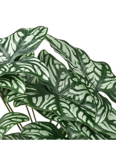 Ikea Fejka Yapay Bitki, Yeşil, 15 Cm, İç/dış Mekan Cercestis Mirabilis