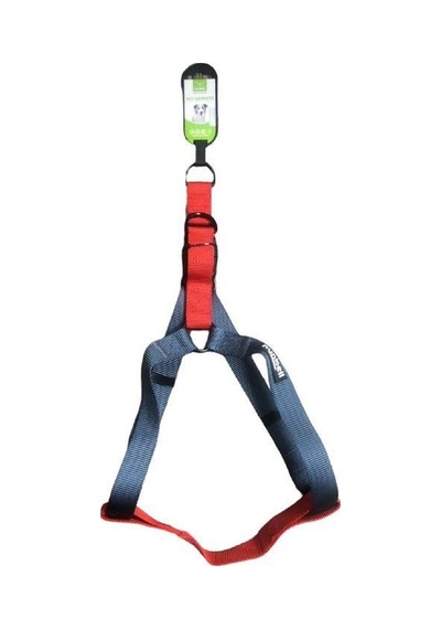 Nunbell Köpek Göğüs Tasması 2.5 Cm Çok Renkli