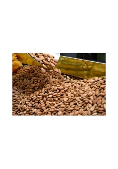 Gün Kurusu Kayısı Tatlı Çekirdeği 1 Kg Diğer